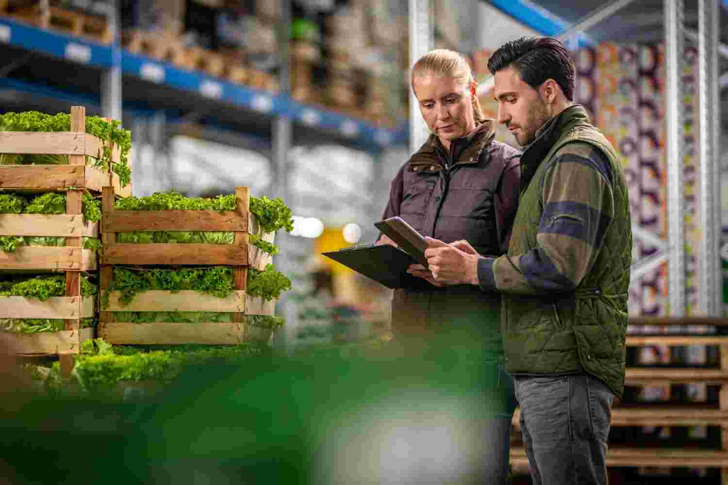 supplier-onboarding-process-for-food-companies